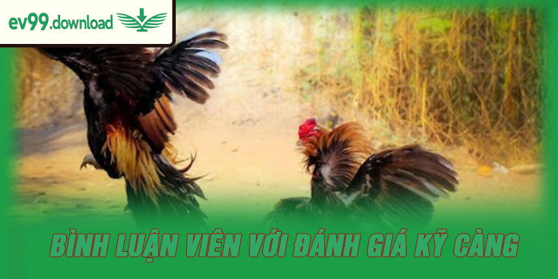 Bình luận viên với đánh giá kỹ càng
