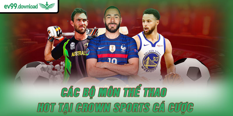 Các bộ môn thể thao hot tại Crown Sports cá cược