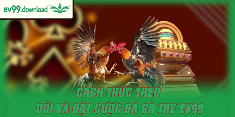 Cách thức theo dõi và đặt cược đá gà tre EV99