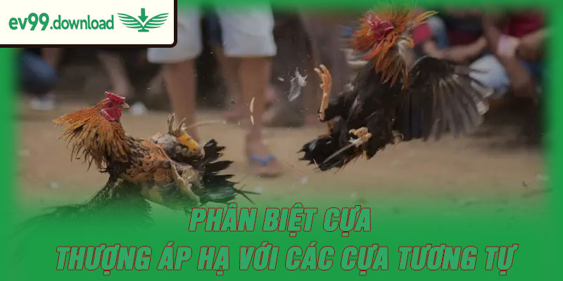 Phân biệt cựa thượng áp hạ với các cựa tương tự