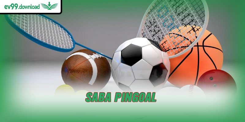 SABA Pingoal
