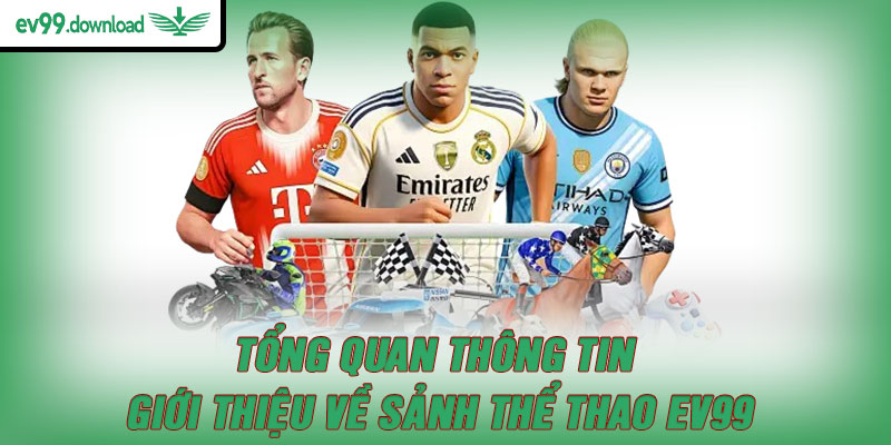 Tổng quan thông tin giới thiệu về sảnh thể thao EV99